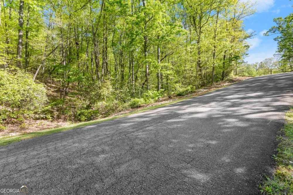 0 Pippin CIR Clarkesville, GA 30523