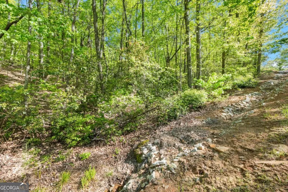 0 Pippin CIR Clarkesville, GA 30523