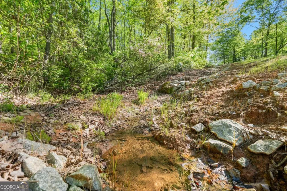 0 Pippin CIR Clarkesville, GA 30523