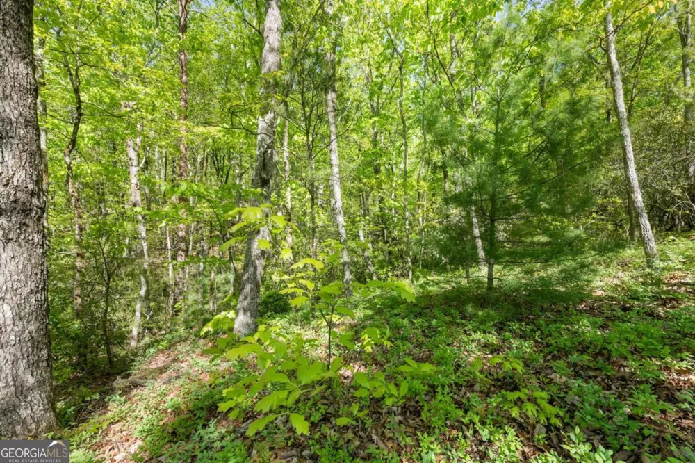 0 Pippin CIR Clarkesville, GA 30523
