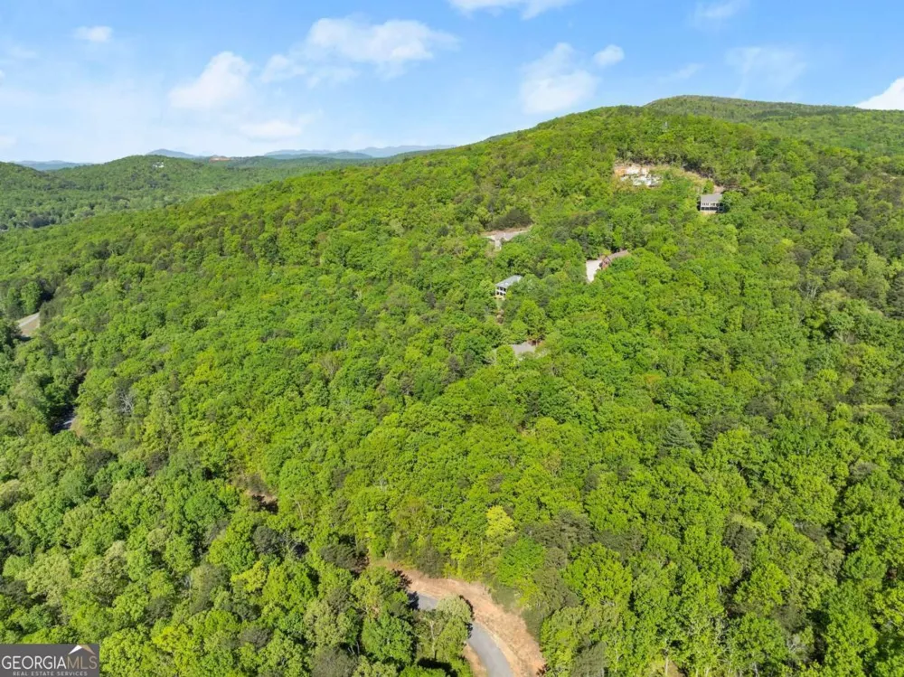 0 Pippin CIR Clarkesville, GA 30523