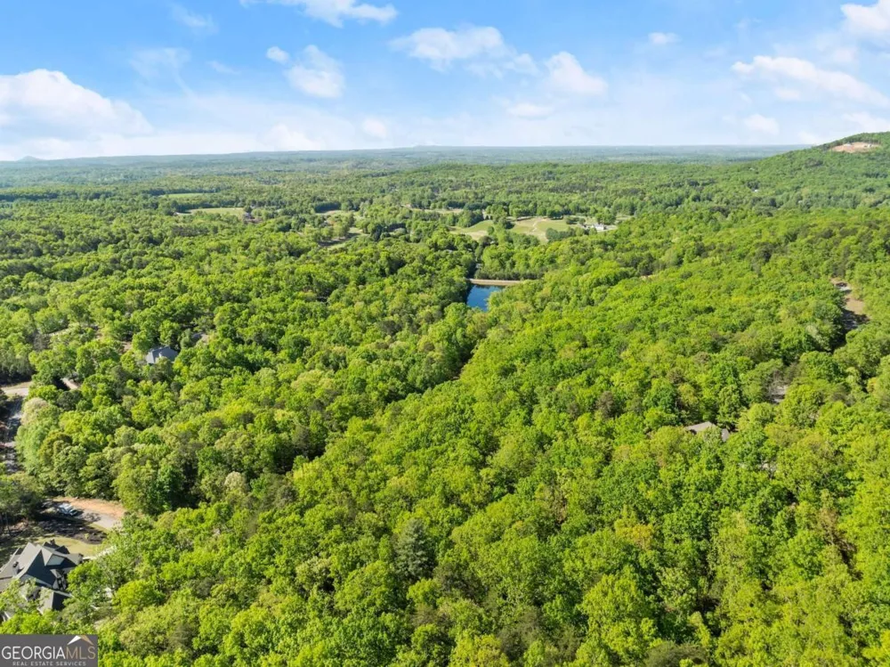 0 Pippin CIR Clarkesville, GA 30523