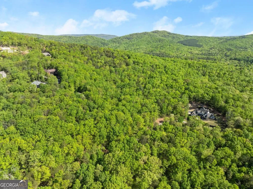 0 Pippin CIR Clarkesville, GA 30523