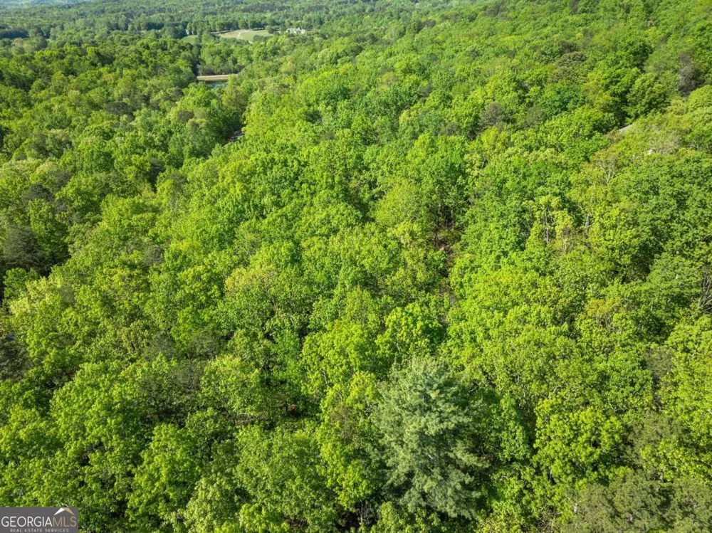 0 Pippin CIR Clarkesville, GA 30523
