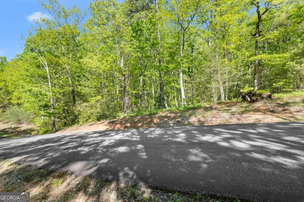 0 Pippin CIR Clarkesville, GA 30523