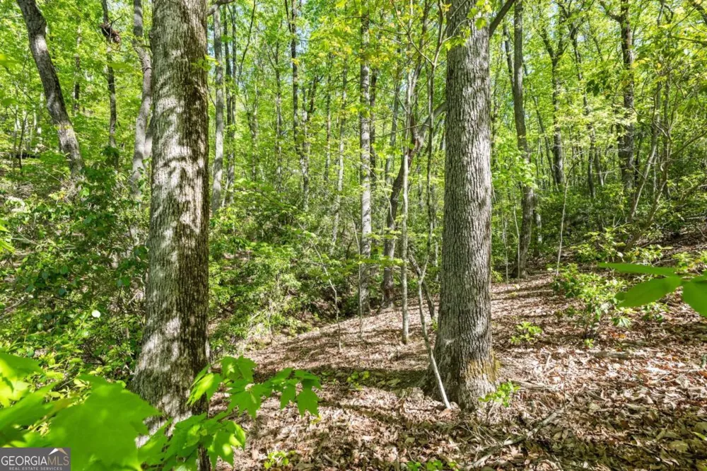0 Pippin CIR Clarkesville, GA 30523