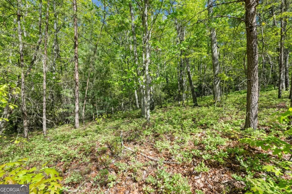 0 Pippin CIR Clarkesville, GA 30523