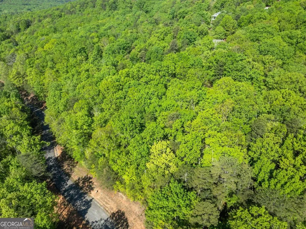 0 Pippin CIR Clarkesville, GA 30523