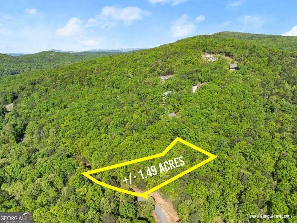 0 Pippin CIR Clarkesville, GA 30523