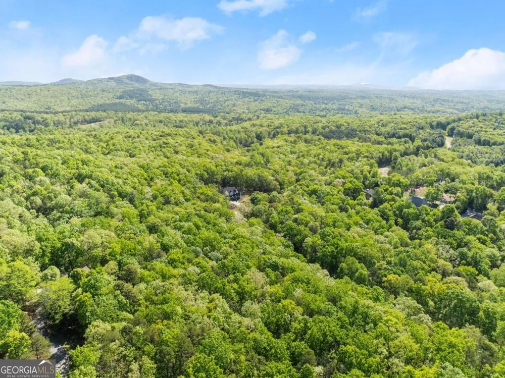 0 Pippin CIR Clarkesville, GA 30523