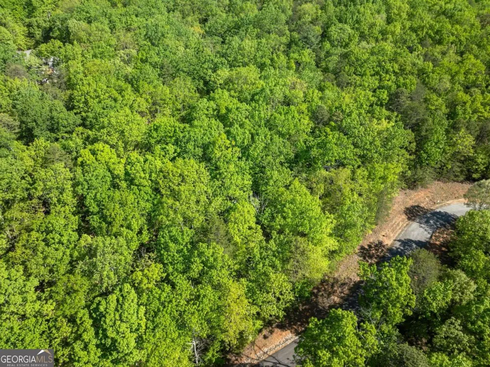 0 Pippin CIR Clarkesville, GA 30523