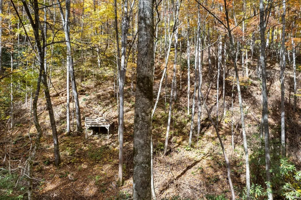 Waterfall Hollow Whittier, NC 28779