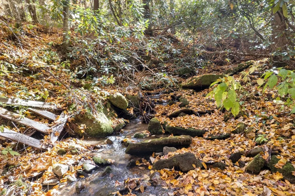 Waterfall Hollow Whittier, NC 28779