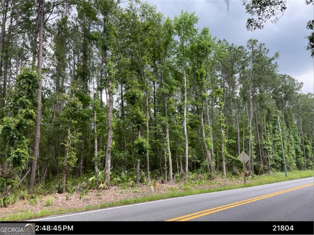 0 Dover Bluff RD Waverly, GA 31565