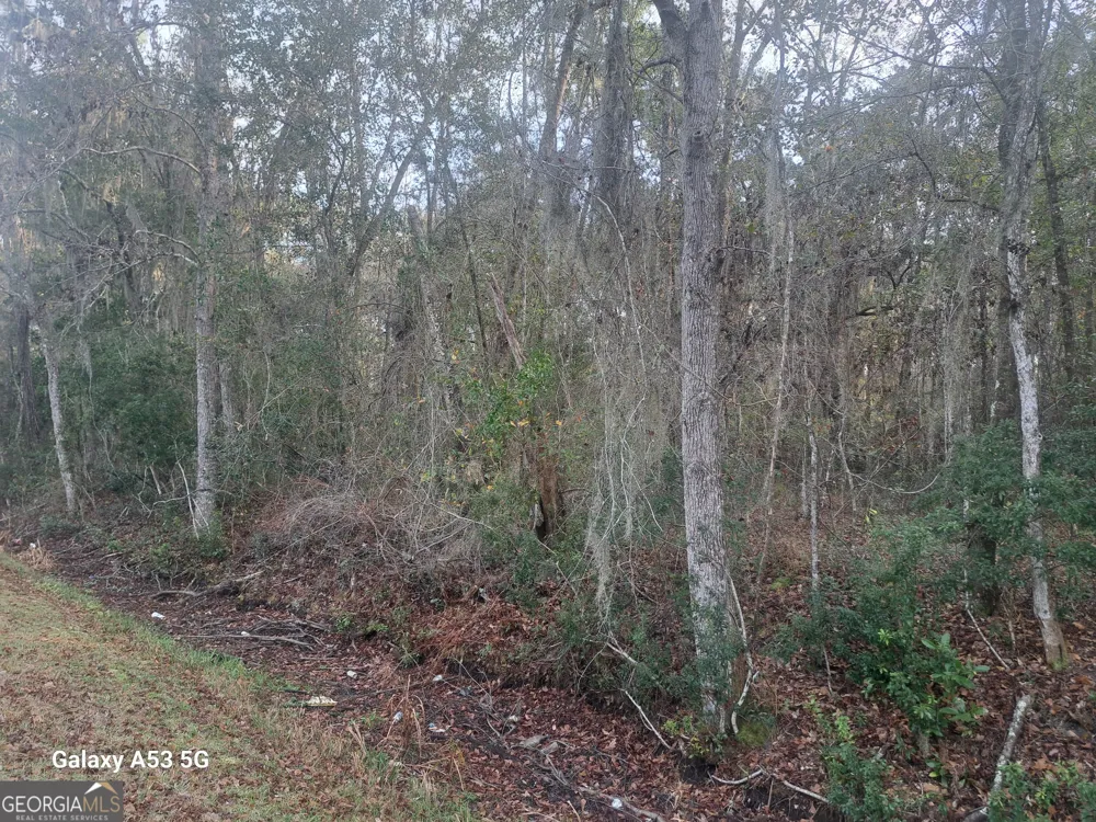 0 Dover Bluff RD Waverly, GA 31565