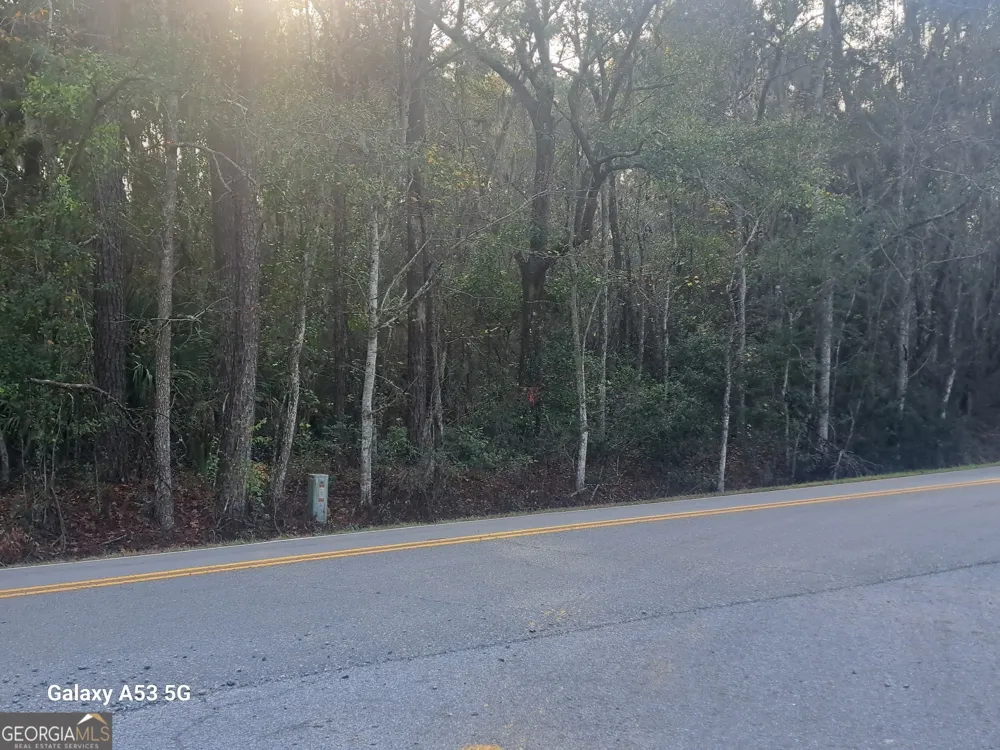 0 Dover Bluff RD Waverly, GA 31565