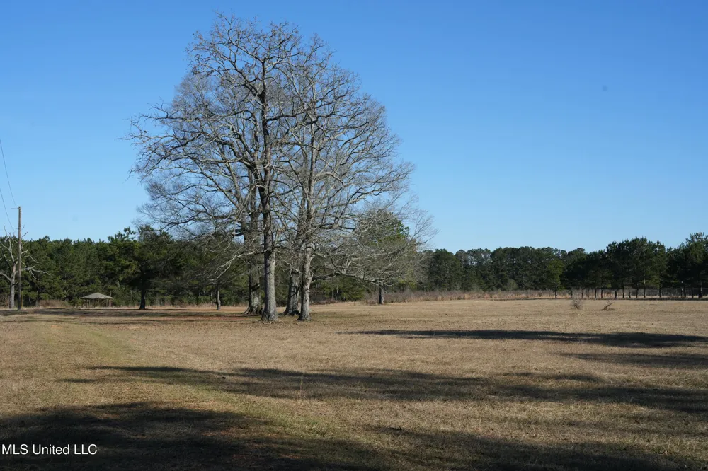 1082 Double M Summit, MS 39666