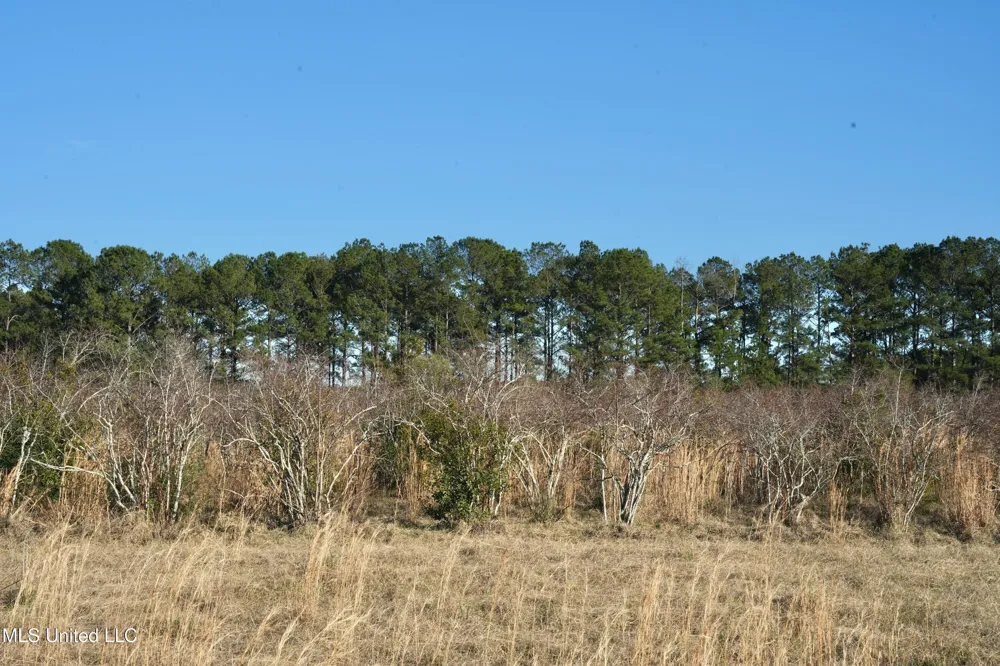 1082 Double M Summit, MS 39666