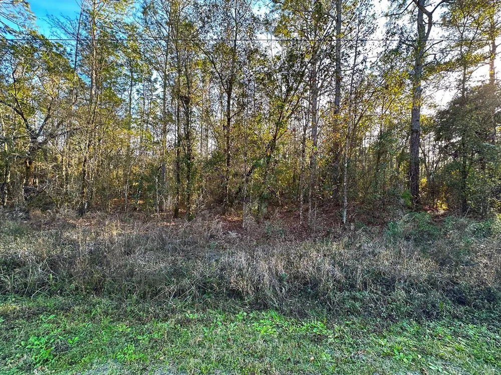 Lot 428 DIVISION STREET Hastings, FL 32145