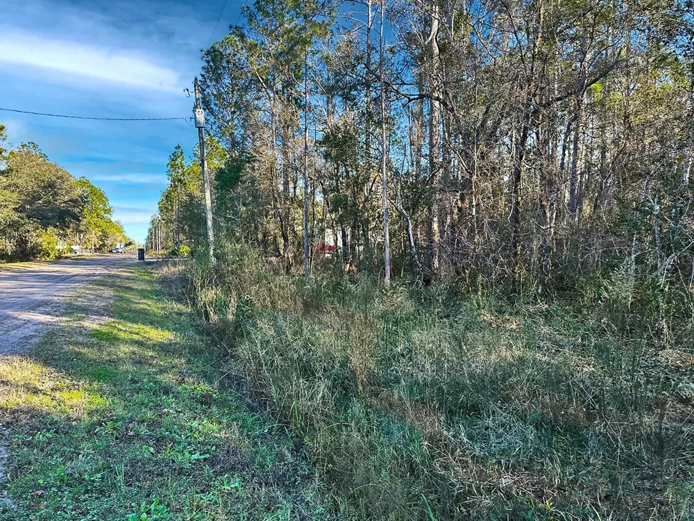Lot 428 DIVISION STREET Hastings, FL 32145