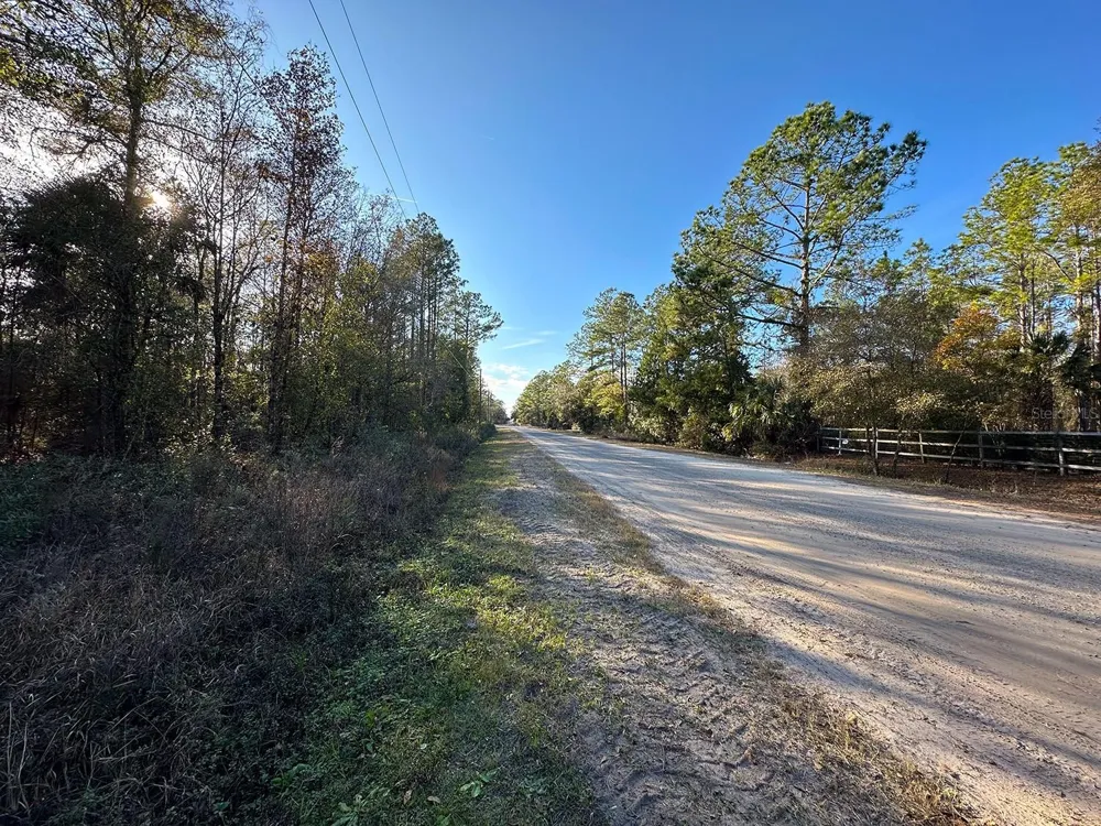 Lot 428 DIVISION STREET Hastings, FL 32145