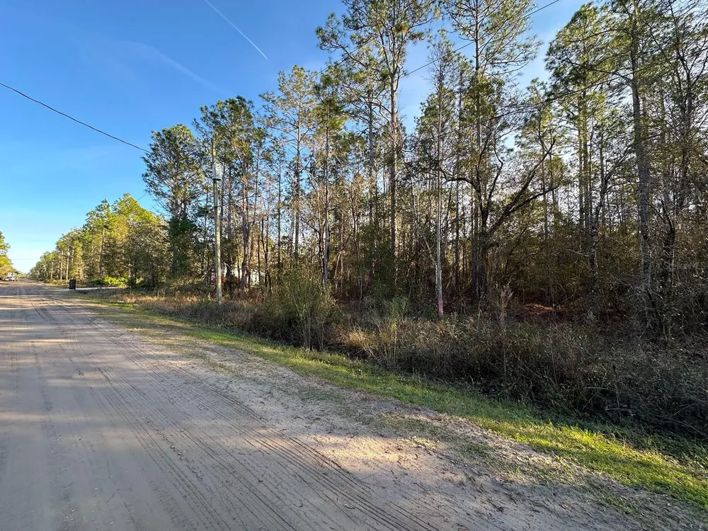 Lot 428 DIVISION STREET Hastings, FL 32145