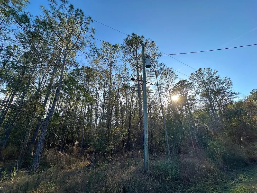 Lot 428 DIVISION STREET Hastings, FL 32145