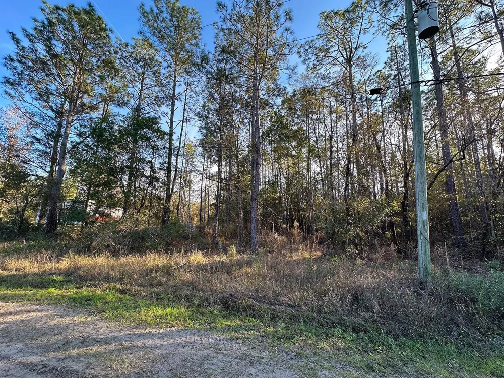Lot 428 DIVISION STREET Hastings, FL 32145