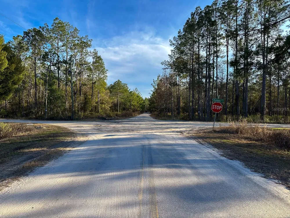 Lot 428 DIVISION STREET Hastings, FL 32145