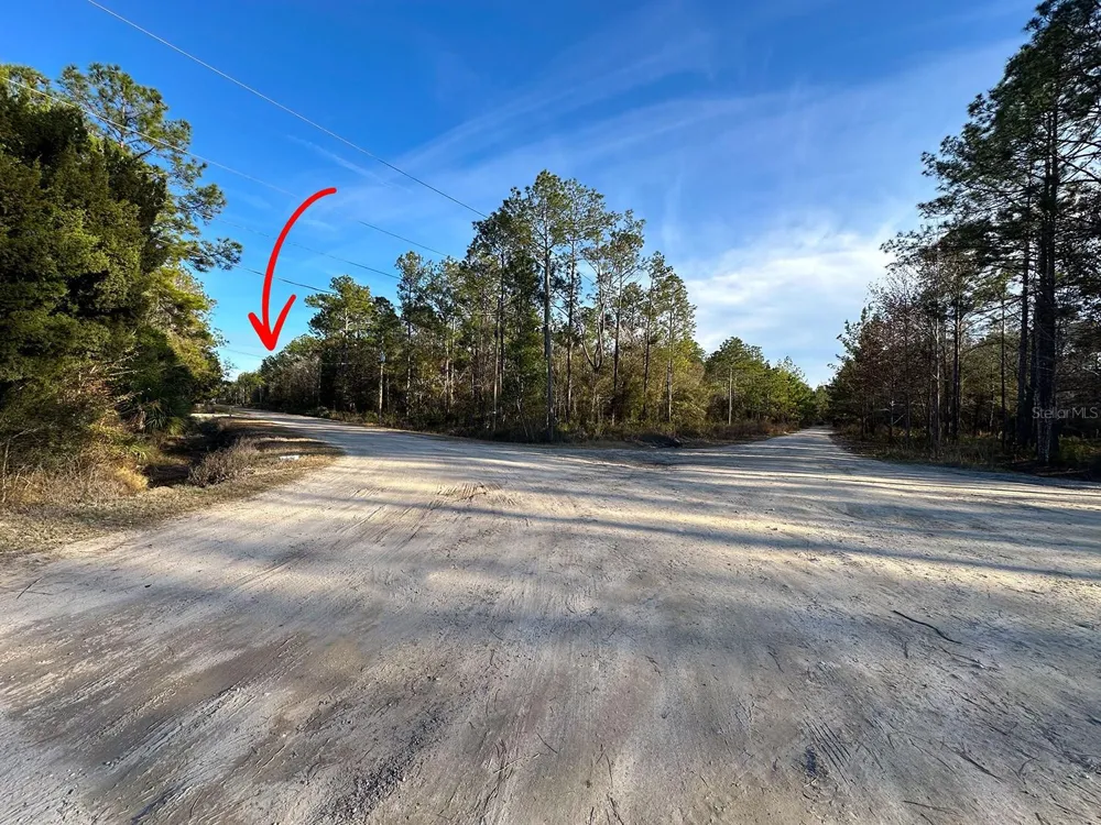 Lot 428 DIVISION STREET Hastings, FL 32145