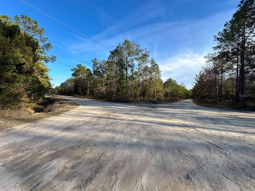 Lot 428 DIVISION STREET Hastings, FL 32145