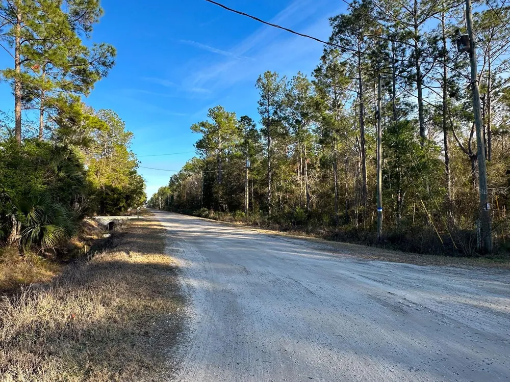 Lot 428 DIVISION STREET Hastings, FL 32145