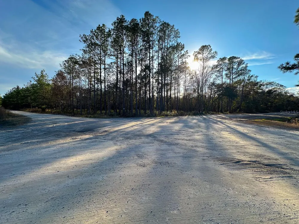 Lot 428 DIVISION STREET Hastings, FL 32145