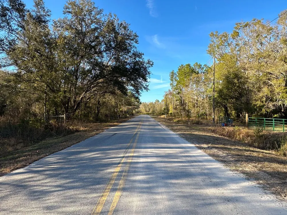 Lot 428 DIVISION STREET Hastings, FL 32145