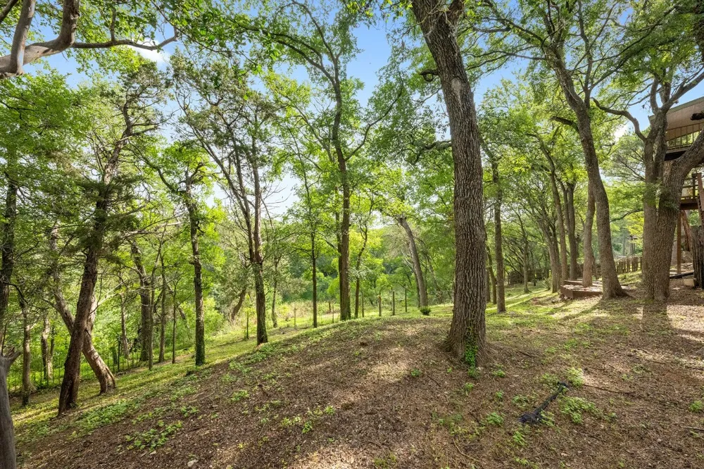 402 Bear Canyon Drive Manchaca, TX 78652