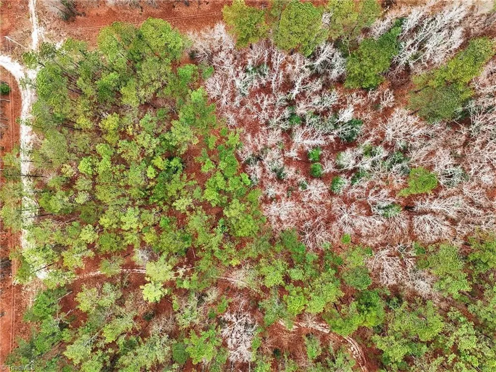 00 Brookside Road West End, NC 27376