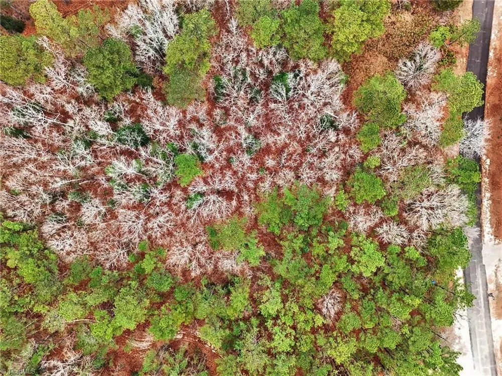 00 Brookside Road West End, NC 27376