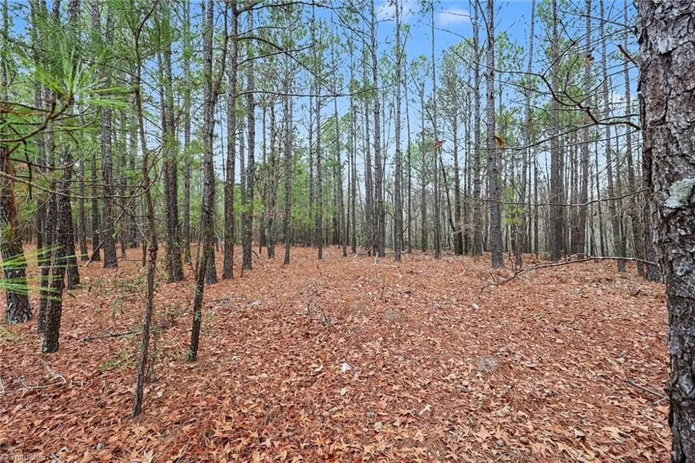 00 Brookside Road West End, NC 27376