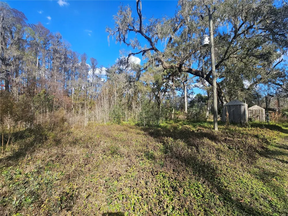 HIGGINSON ROAD Zephyrhills, FL 33540
