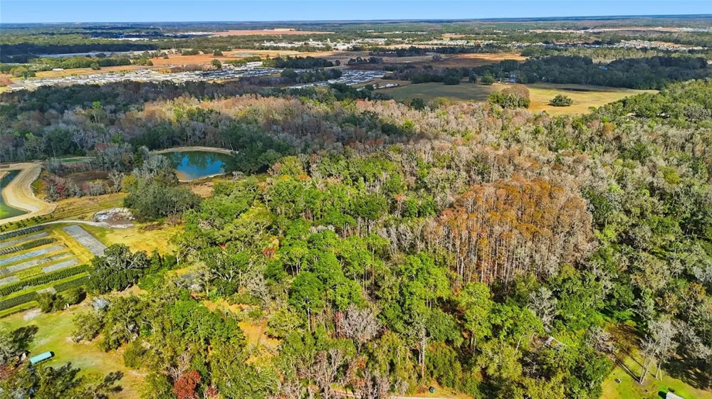 HIGGINSON ROAD Zephyrhills, FL 33540