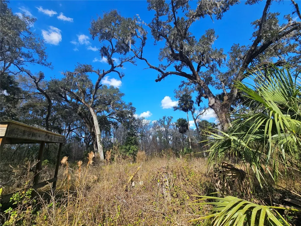 HIGGINSON ROAD Zephyrhills, FL 33540