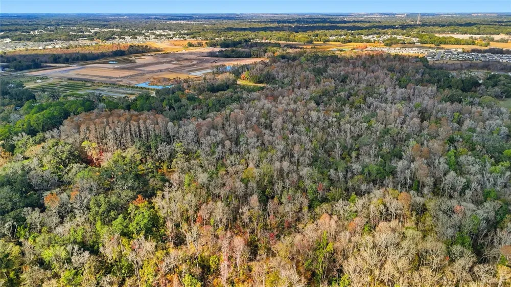 HIGGINSON ROAD Zephyrhills, FL 33540