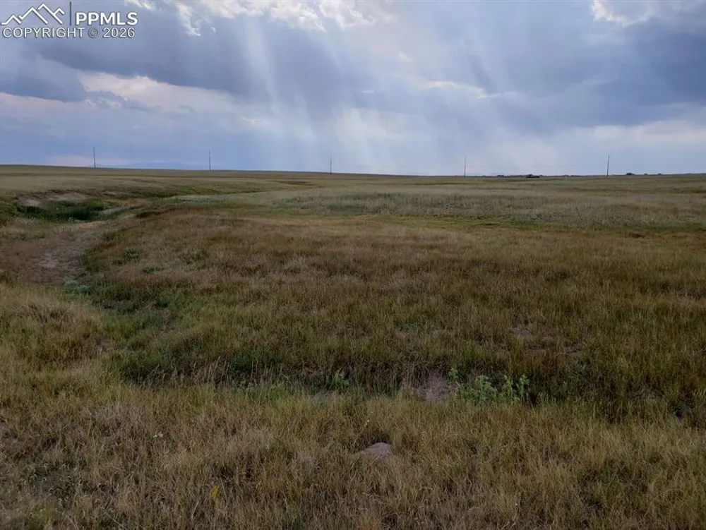 8155 Cowboy Ranch View