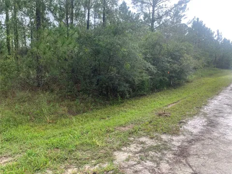 TBD OTTER DRIVE #LOT 44