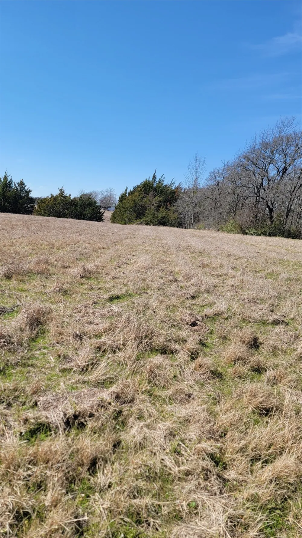 655 Ewing Road Ferris, TX 75125