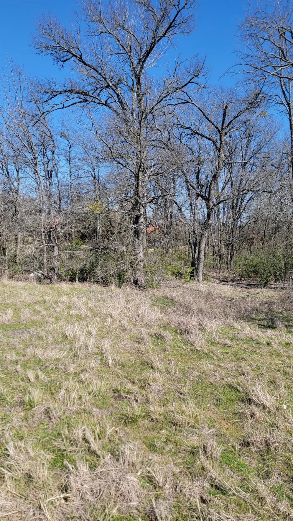 655 Ewing Road Ferris, TX 75125