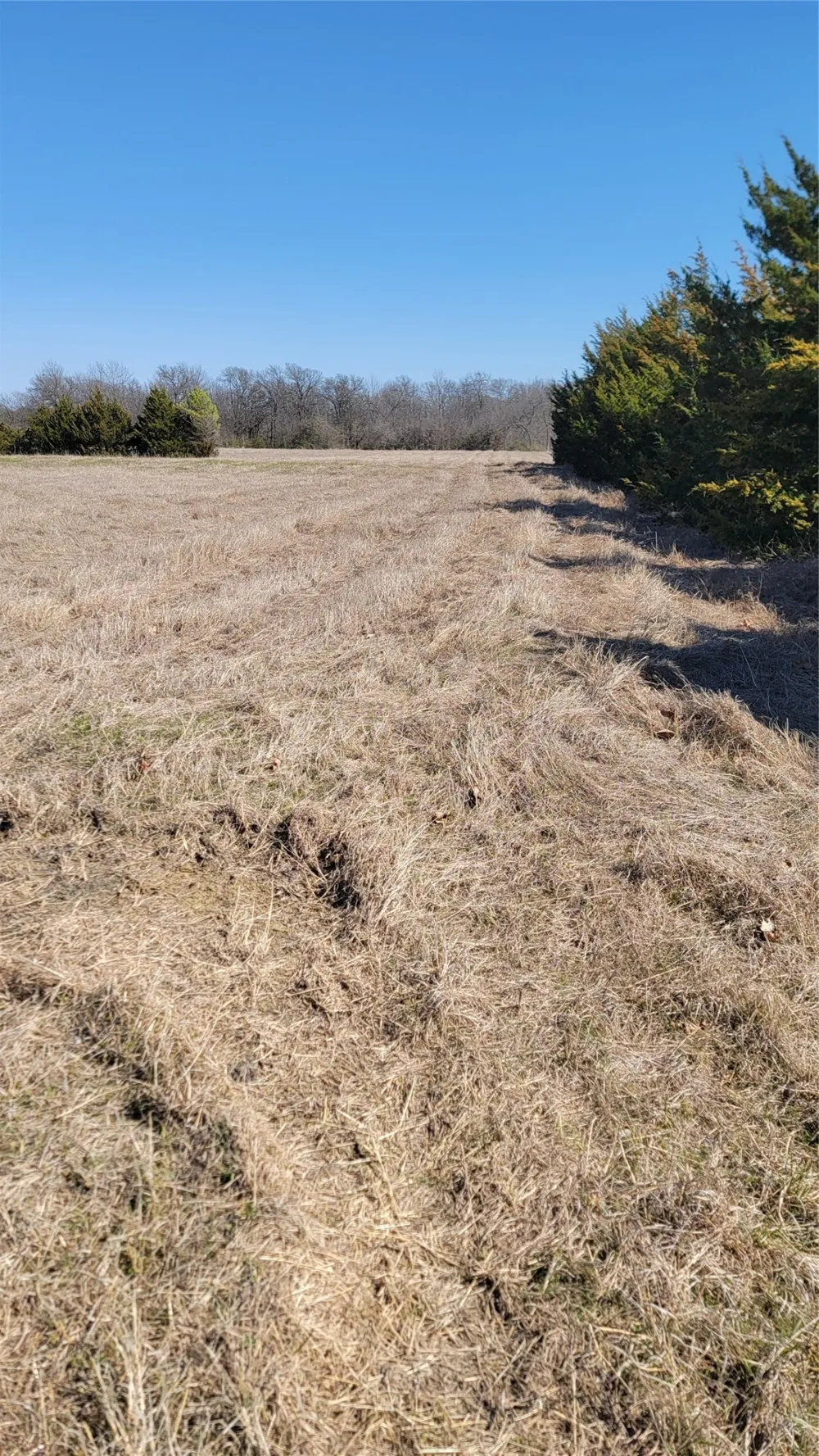 655 Ewing Road Ferris, TX 75125
