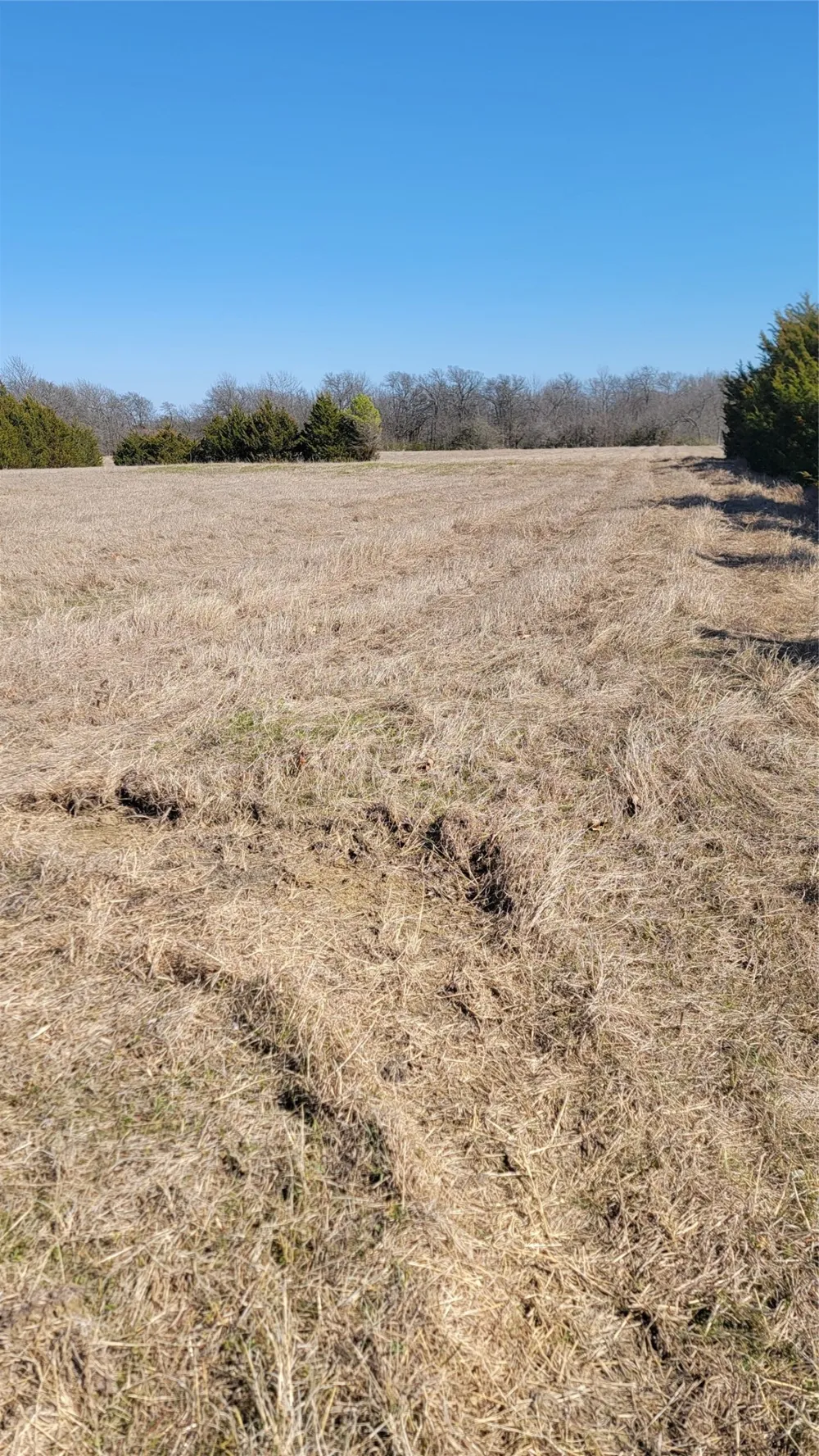 655 Ewing Road Ferris, TX 75125