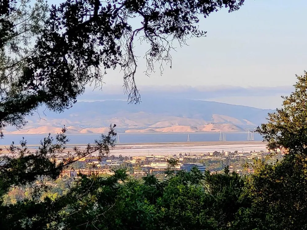3803 Hamilton Way Redwood City, CA 94062