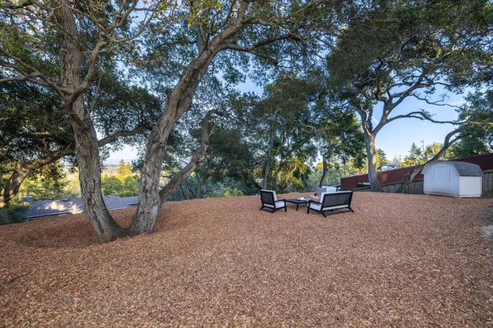 3803 Hamilton Way Redwood City, CA 94062
